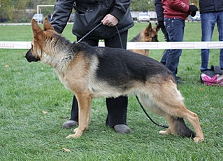 click for enlarge 640 X 461 208.8 Kb picture