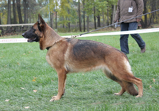 click for enlarge 569 X 400 243.9 Kb picture