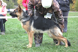 click for enlarge 640 X 426 212.0 Kb picture