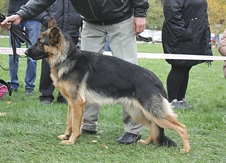 click for enlarge 448 X 324 113.4 Kb picture