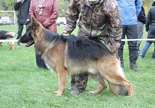 click for enlarge 448 X 313 120.3 Kb picture