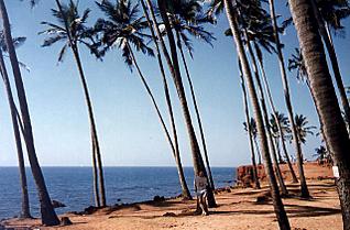 click for enlarge 640 X 419 55.0 Kb picture