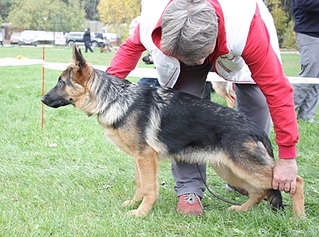 click for enlarge 448 X 333 123.2 Kb picture