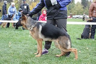 click for enlarge 800 X 538 303.4 Kb picture