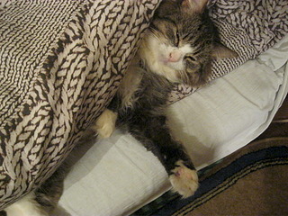 click for enlarge 1920 X 1440 872.6 Kb picture