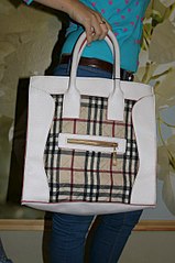 click for enlarge 402 X 604 48.3 Kb picture