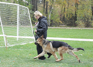 click for enlarge 800 X 577 448.3 Kb picture