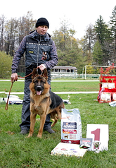 click for enlarge 553 X 800 471.2 Kb picture