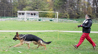 click for enlarge 800 X 444 329.6 Kb picture