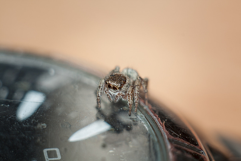 click for enlarge 1920 X 1280 285.0 Kb picture