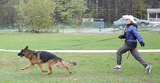 click for enlarge 800 X 414 308.7 Kb picture