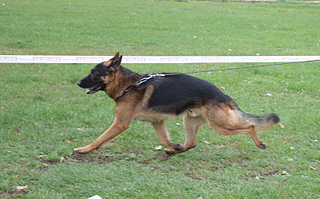 click for enlarge 800 X 498 371.0 Kb picture