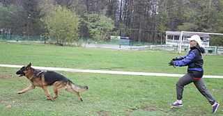 click for enlarge 800 X 418 355.0 Kb picture