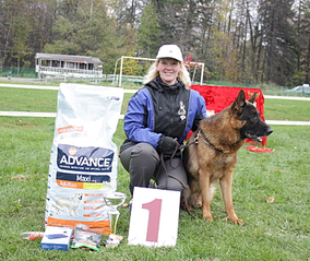 click for enlarge 800 X 674 556.7 Kb picture