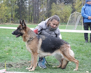 click for enlarge 749 X 600 293.6 Kb picture