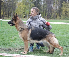 click for enlarge 721 X 600 294.1 Kb picture