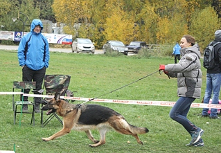 click for enlarge 800 X 554 321.6 Kb picture