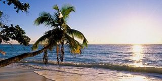 click for enlarge 600 X 300  37.4 Kb picture