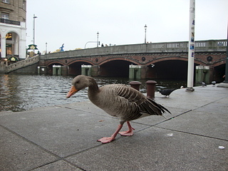 click for enlarge 1920 X 1440 246.9 Kb picture