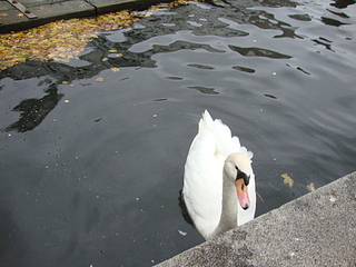 click for enlarge 1920 X 1440 179.8 Kb picture