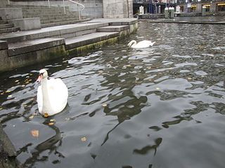 click for enlarge 1920 X 1440 225.6 Kb picture