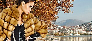 click for enlarge 716 X 317  95.1 Kb picture