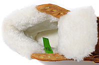 click for enlarge 800 X 525 131.2 Kb picture