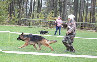 click for enlarge 800 X 515 420.2 Kb picture