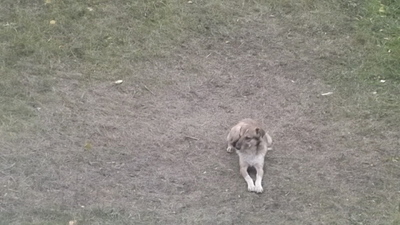 click for enlarge 1920 X 1080 616.3 Kb picture