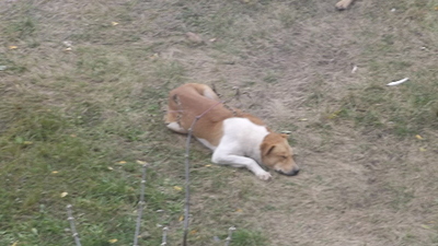 click for enlarge 1920 X 1080 628.8 Kb picture