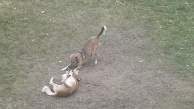 click for enlarge 1920 X 1080 615.9 Kb picture