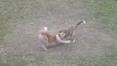 click for enlarge 1920 X 1080 607.1 Kb picture