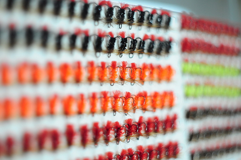 click for enlarge 1920 X 1275 426.6 Kb picture