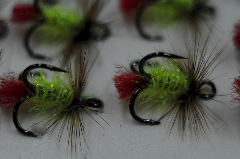 click for enlarge 1920 X 1275 428.0 Kb picture