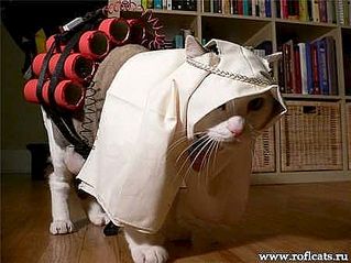 click for enlarge 450 X 337  21.6 Kb picture