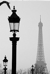 click for enlarge 405 X 604 29.9 Kb picture
