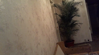 click for enlarge 640 X 360 246.3 Kb picture