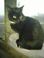 click for enlarge 768 X 1024  73.5 Kb picture