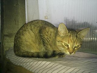 click for enlarge 1024 X 768  99.4 Kb picture