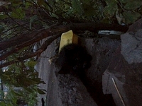 click for enlarge 320 X 240  51.5 Kb picture