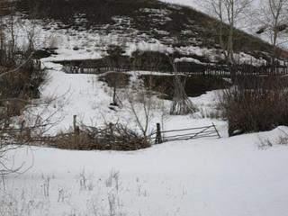 click for enlarge 1024 X 768  91.0 Kb picture
