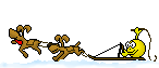 146 x 63