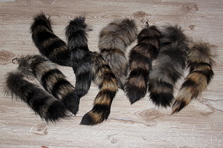 click for enlarge 1920 X 1280 774.2 Kb picture