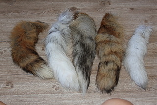 click for enlarge 1920 X 1280 648.9 Kb picture