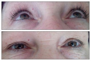 click for enlarge 604 X 403 33.8 Kb picture