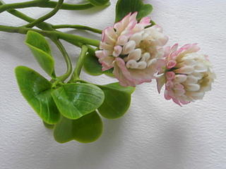 click for enlarge 800 X 600 181.8 Kb picture