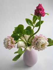 click for enlarge 600 X 800 198.4 Kb picture