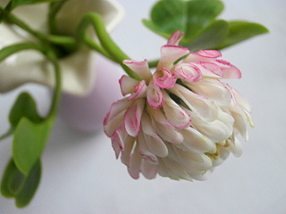 click for enlarge 800 X 600 165.8 Kb picture