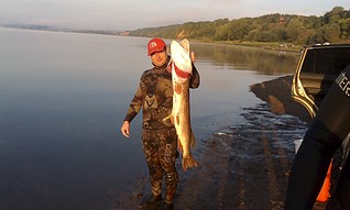 click for enlarge 1920 X 1149 337.6 Kb picture