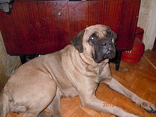 click for enlarge 1280 X 960 218.3 Kb picture